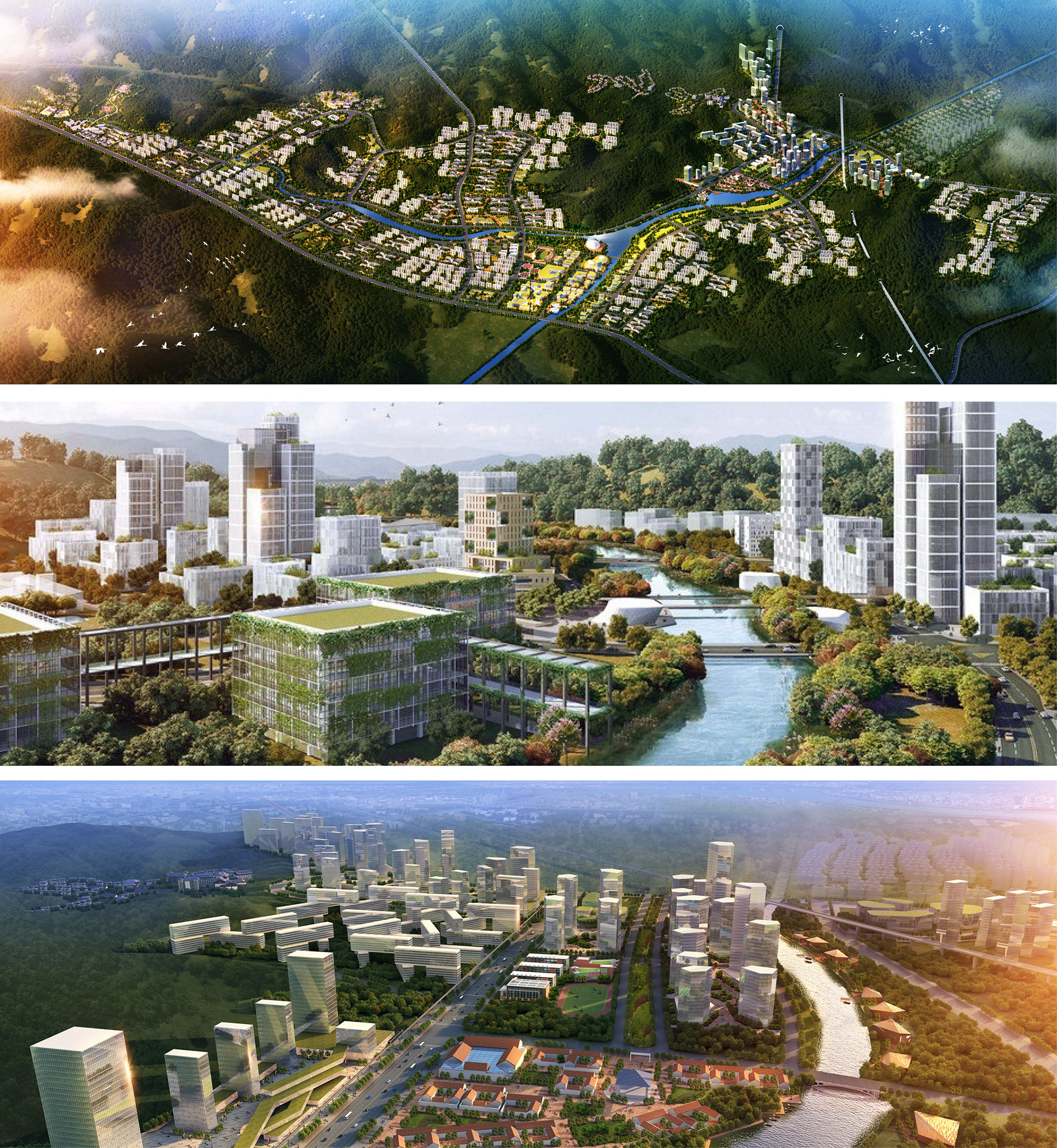 1603087627237308.jpg a83.jpg